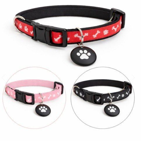 Trazo – Nunca pierdas a tu perro de vista nuevamente