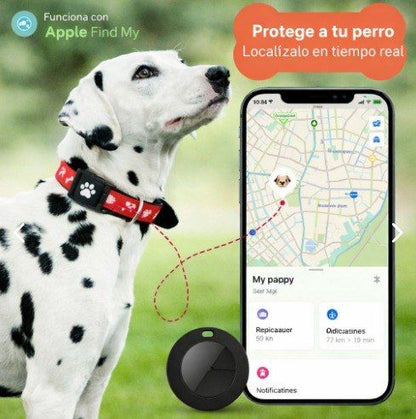 Trazo – Nunca pierdas a tu perro de vista nuevamente